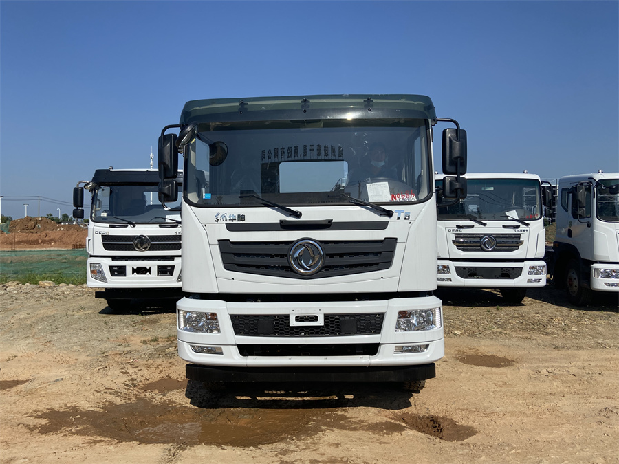 東風(fēng)T5（后雙橋，玉柴260）國六 內(nèi)飾照片圖